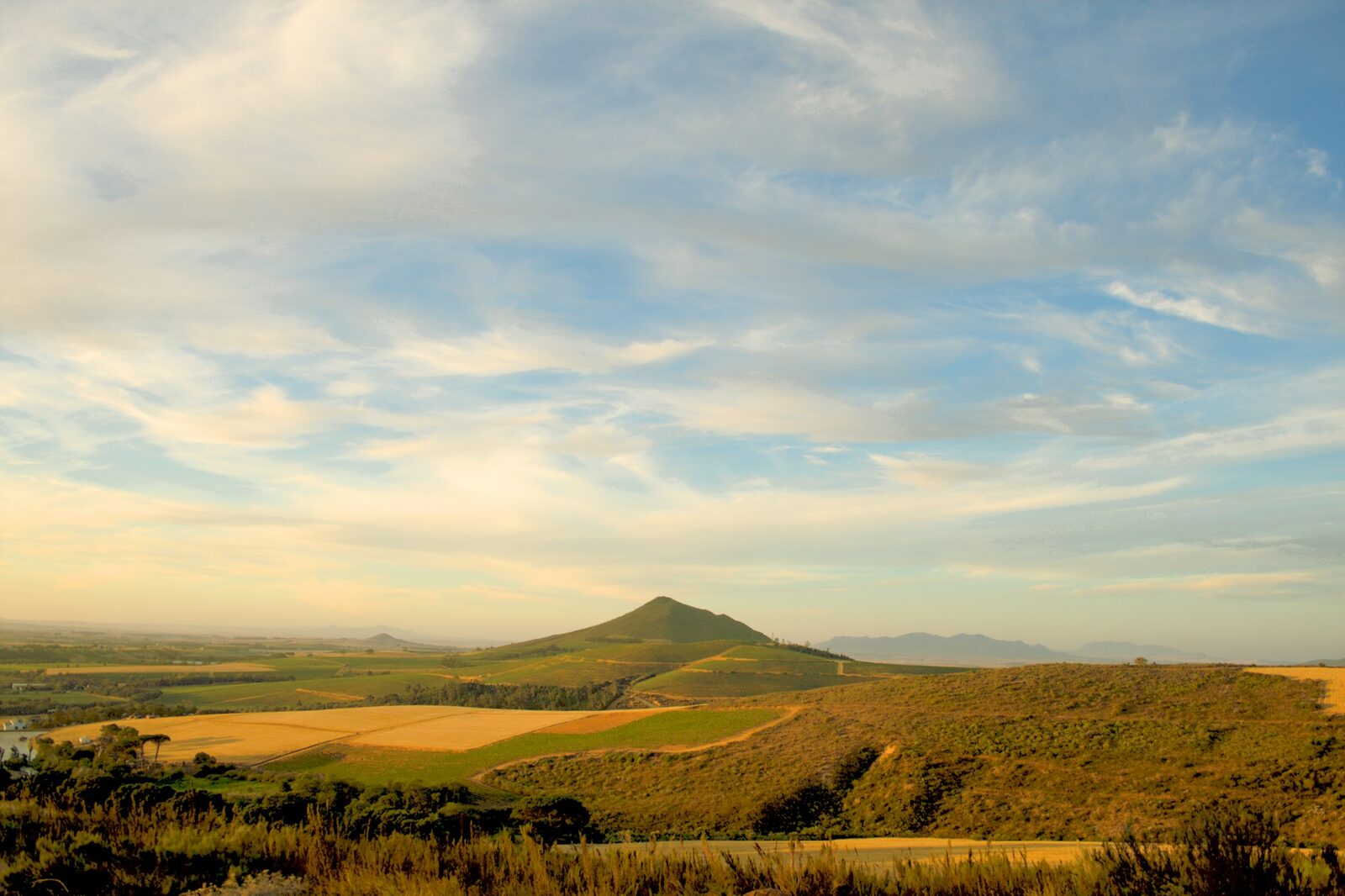 Vineyards and farmland rolling towards a mountain range in the Cape Winelands.